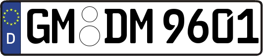 GM-DM9601