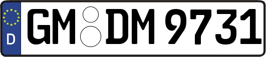 GM-DM9731