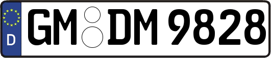 GM-DM9828