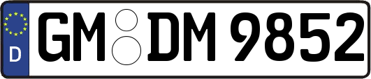 GM-DM9852