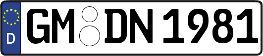 GM-DN1981