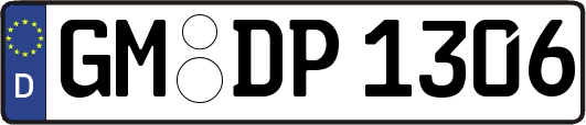GM-DP1306