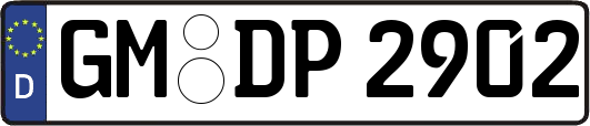 GM-DP2902
