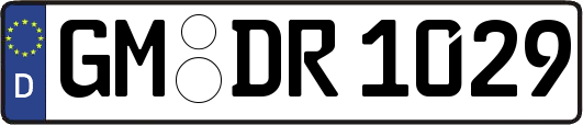 GM-DR1029