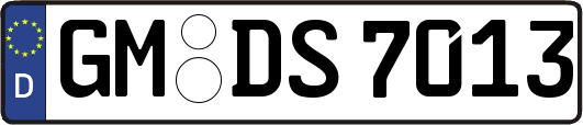GM-DS7013