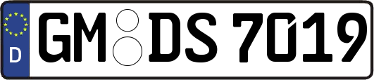 GM-DS7019
