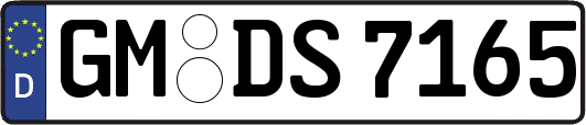 GM-DS7165