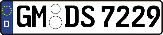 GM-DS7229