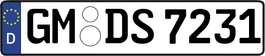 GM-DS7231