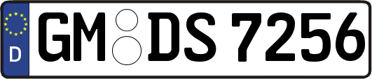 GM-DS7256
