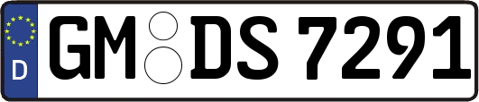 GM-DS7291
