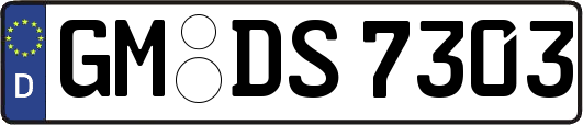 GM-DS7303