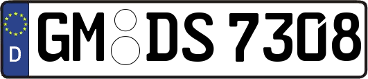 GM-DS7308