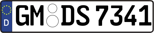GM-DS7341
