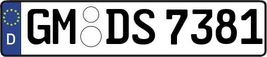 GM-DS7381