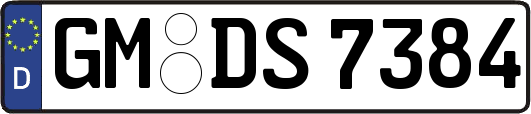 GM-DS7384