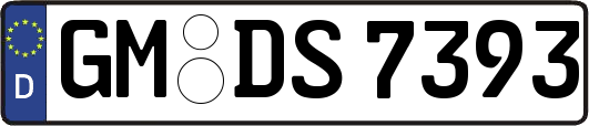 GM-DS7393