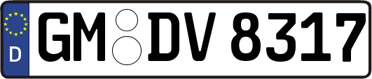 GM-DV8317
