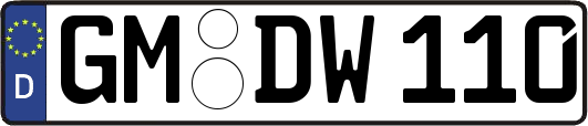 GM-DW110