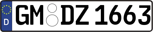 GM-DZ1663