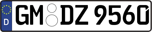 GM-DZ9560