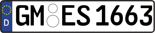 GM-ES1663