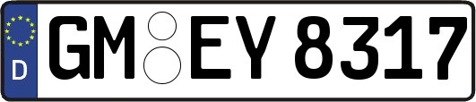 GM-EY8317