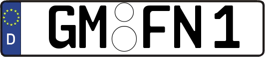 GM-FN1