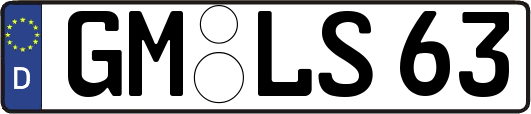 GM-LS63