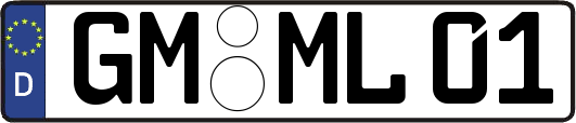 GM-ML01