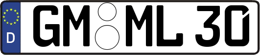 GM-ML30