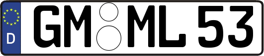 GM-ML53