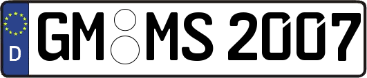 GM-MS2007