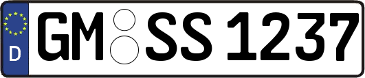 GM-SS1237