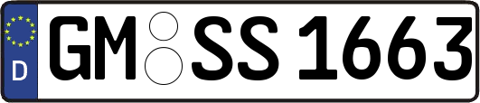 GM-SS1663