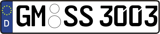 GM-SS3003