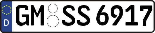 GM-SS6917