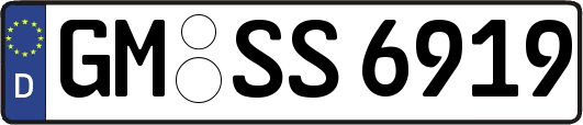 GM-SS6919