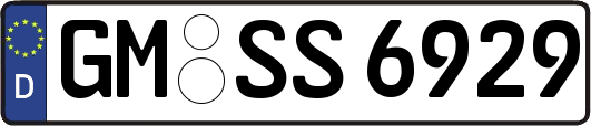 GM-SS6929
