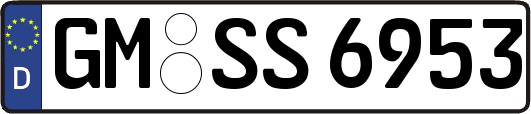 GM-SS6953