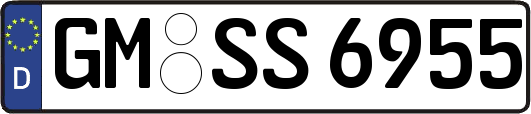 GM-SS6955