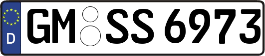 GM-SS6973