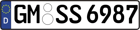 GM-SS6987