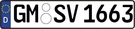 GM-SV1663