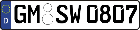 GM-SW0807