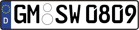 GM-SW0809