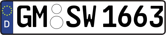 GM-SW1663