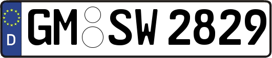 GM-SW2829