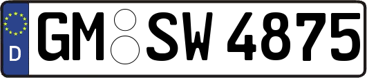 GM-SW4875
