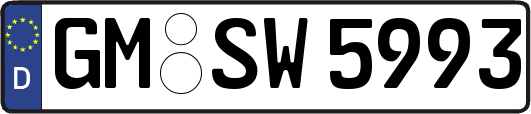 GM-SW5993